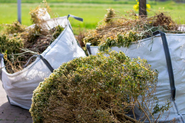  Long Lake, MN Junk Removal Pros